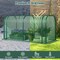 PE Metal Mini Tunnel Greenhouse with Roll-Up Door and Windproof Stakes